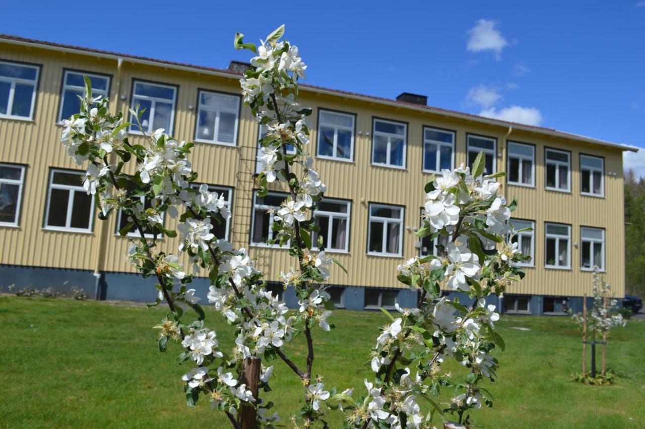 Ostello Kalvs Skolhus Esterno foto